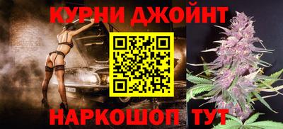 сатива Кингисепп