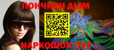 сатива Кингисепп