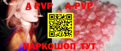 сатива Кингисепп
