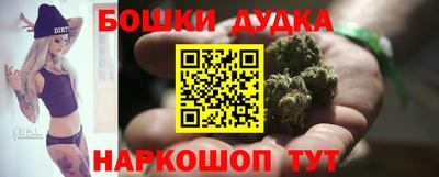 сатива Кингисепп