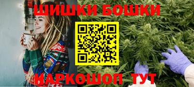 сатива Кингисепп