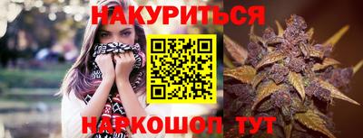 сатива Кингисепп