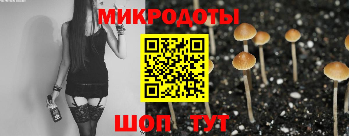 Псилоцибиновые грибы Magic Shrooms Коммунар